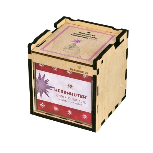 Präsentations- & Sammelbox 2025 Sonderedition Miniaturstern violett Leerbox