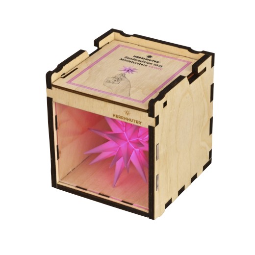 Präsentations- & Sammelbox 2025 Sonderedition Miniaturstern violett Leerbox