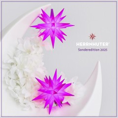 Miniaturstern violett - Sonderedition 2025