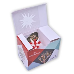 Rautis - Geschenkset mit Miniaturstern